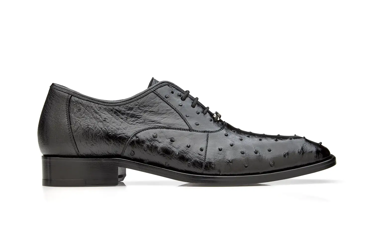 Belvedere - Orlando, Genuine Ostrich Quill Dress Shoe - Black - D01