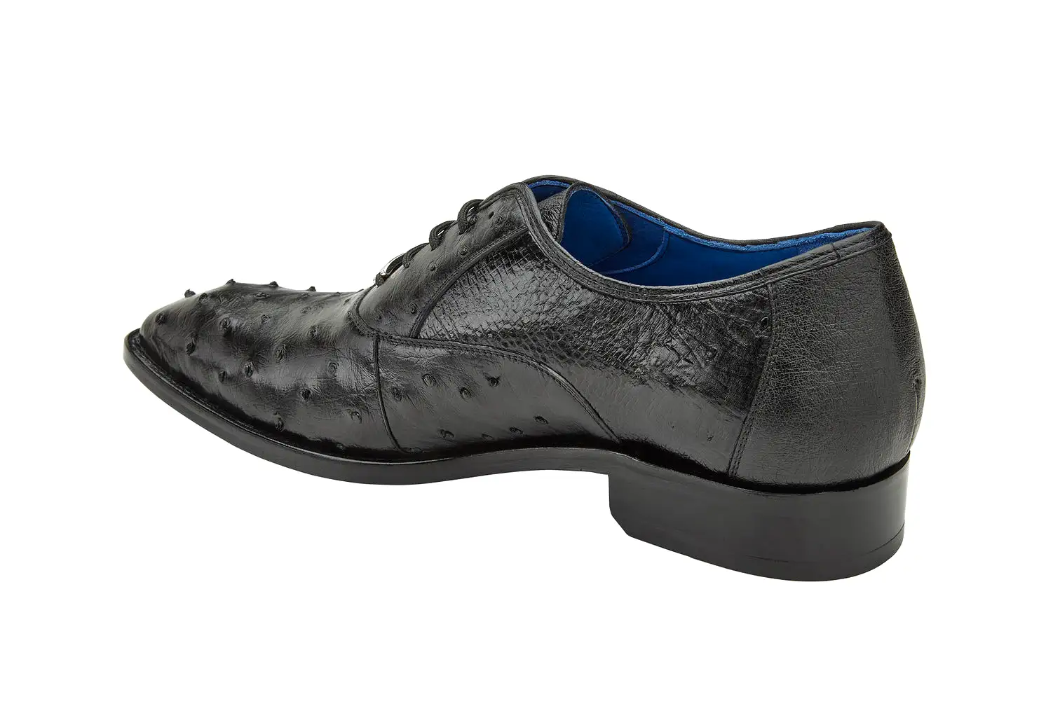 Belvedere - Orlando, Genuine Ostrich Quill Dress Shoe - Black - D01