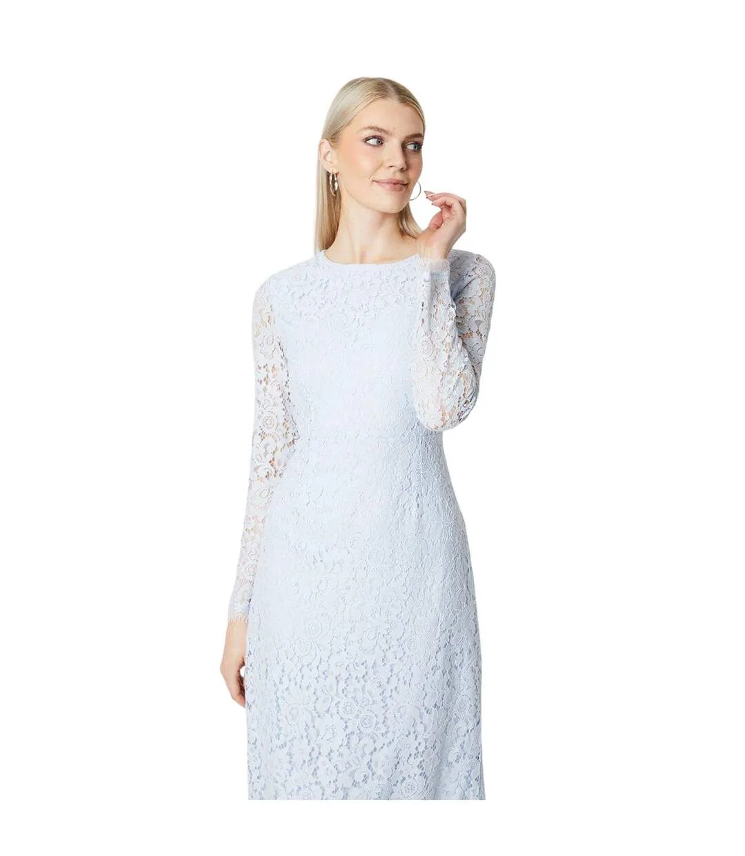 Womens/ladies lace long-sleeved pencil dress powder blue Principles